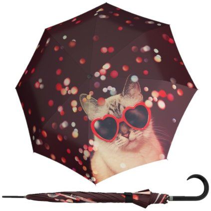 6503 modern art lovely cat