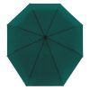 14048 1 superstrong magic plus evergreen automaticky destnik