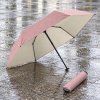 16726 4 zero ultra sun mini dusty pink ivory skladaci destnik