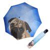 182 2 modern art magic lazy dog