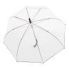 4886 1 nizza transparent